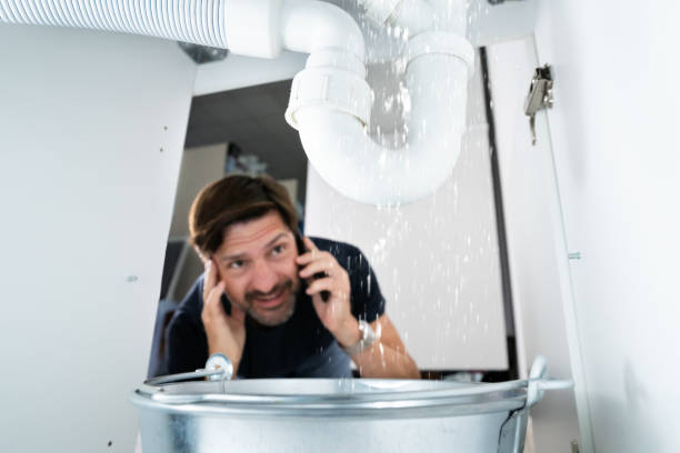 Best Local Plumber Services  in Perham, MN